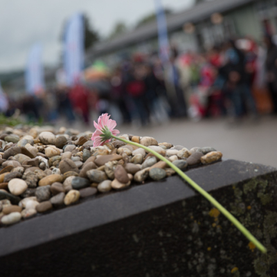 Befreiungsfeier 2014 &copy; MKÖ