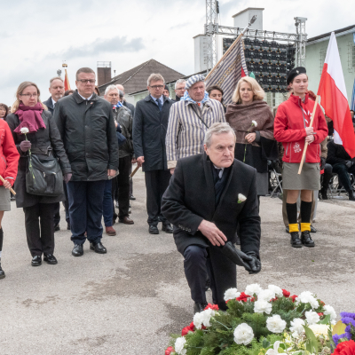 Befreiungsfeier 2019 &copy; MKÖ/Jacqueline Godany